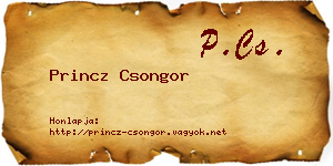 Princz Csongor névjegykártya